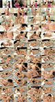 torrent-pirat.com